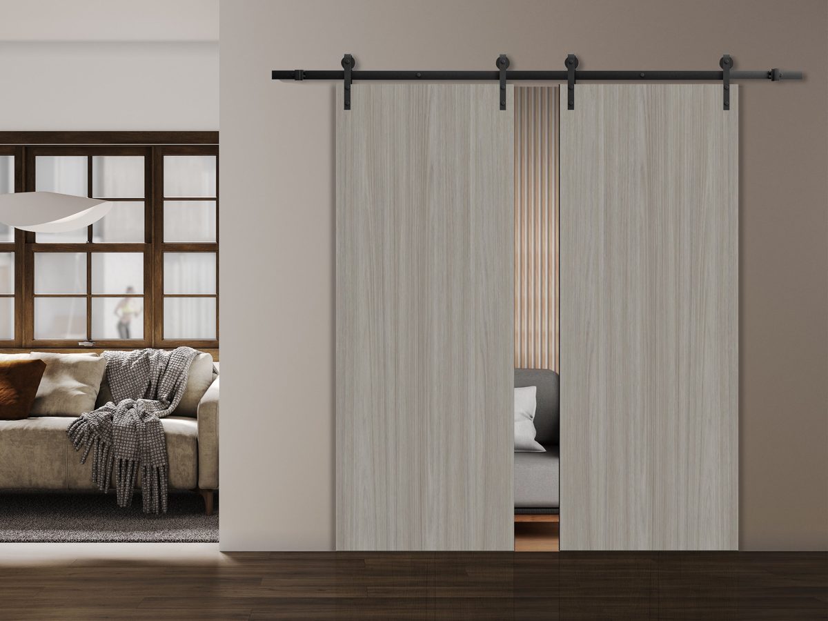Essential 3001 Double Barn door view 2