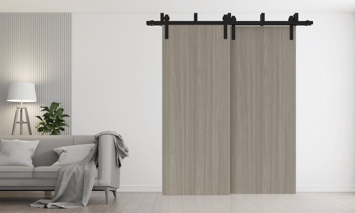 Essential 3001 Double Barn — Bypass door view 2