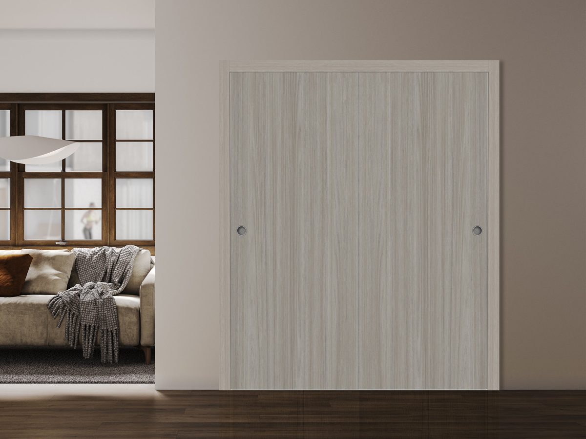 Essential 3001 Bypass door view 2