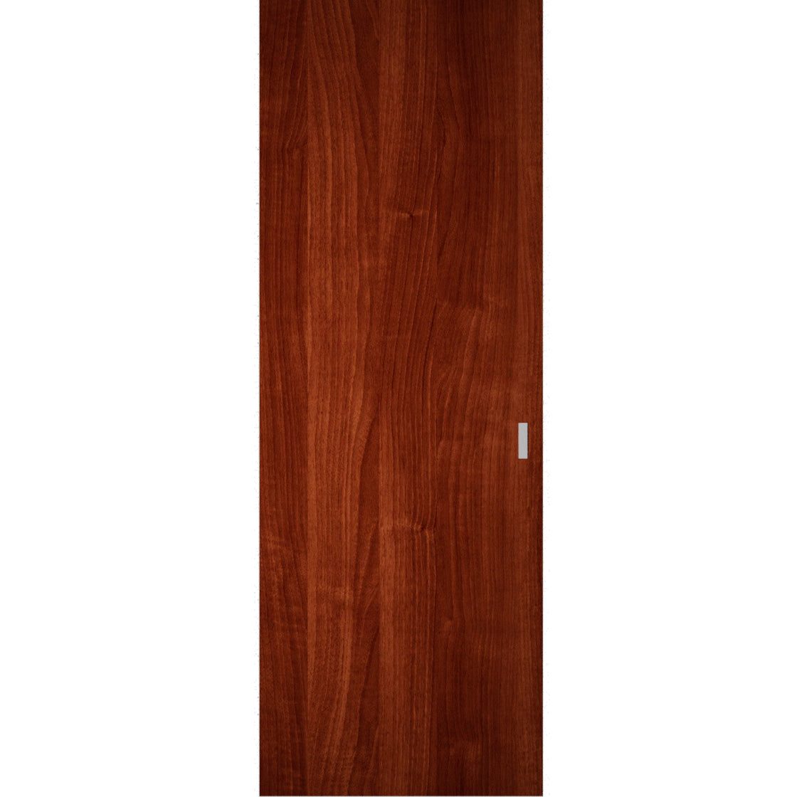 Essential 3001 Hidden Barn door view 5