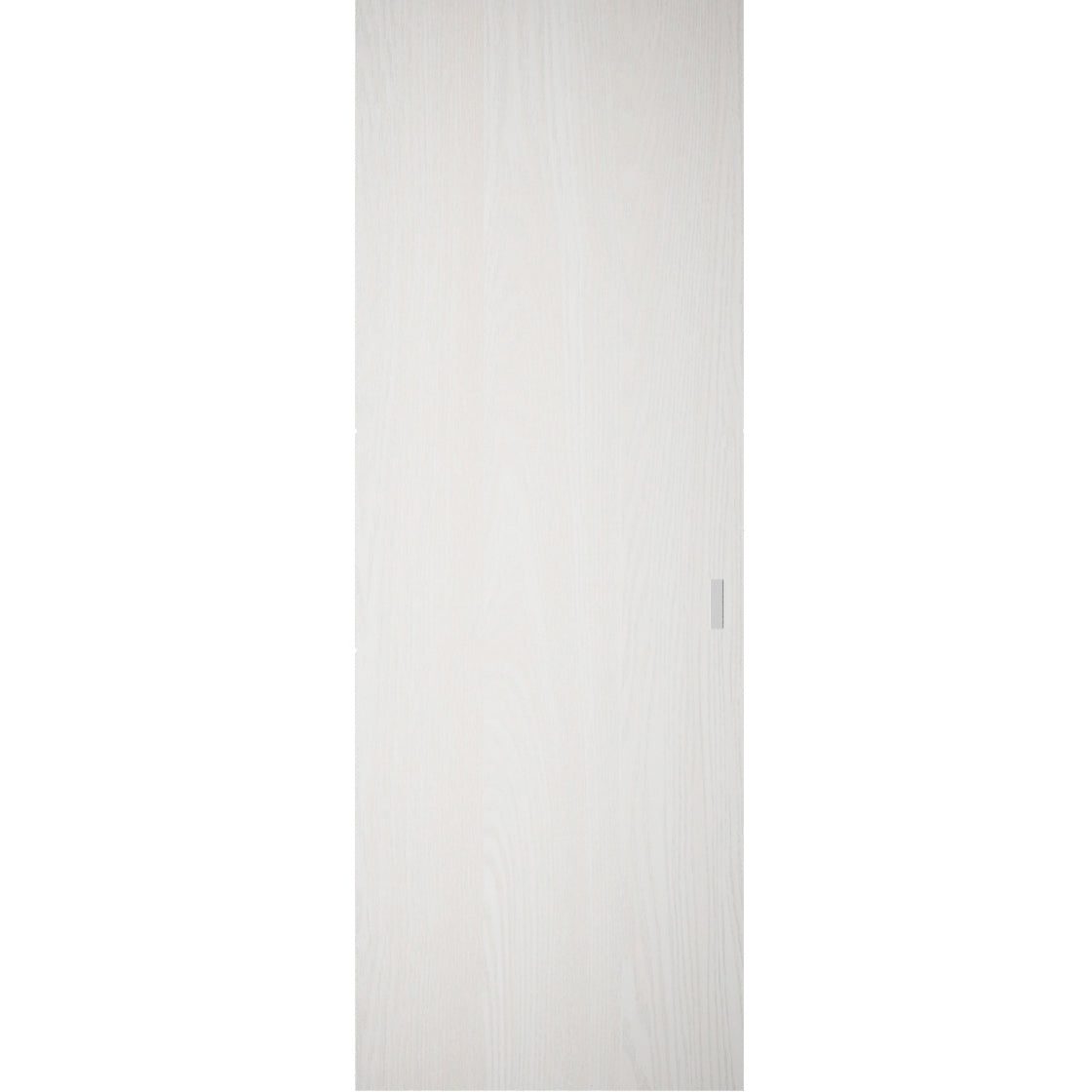 Essential 3001 Hidden Barn door view 7