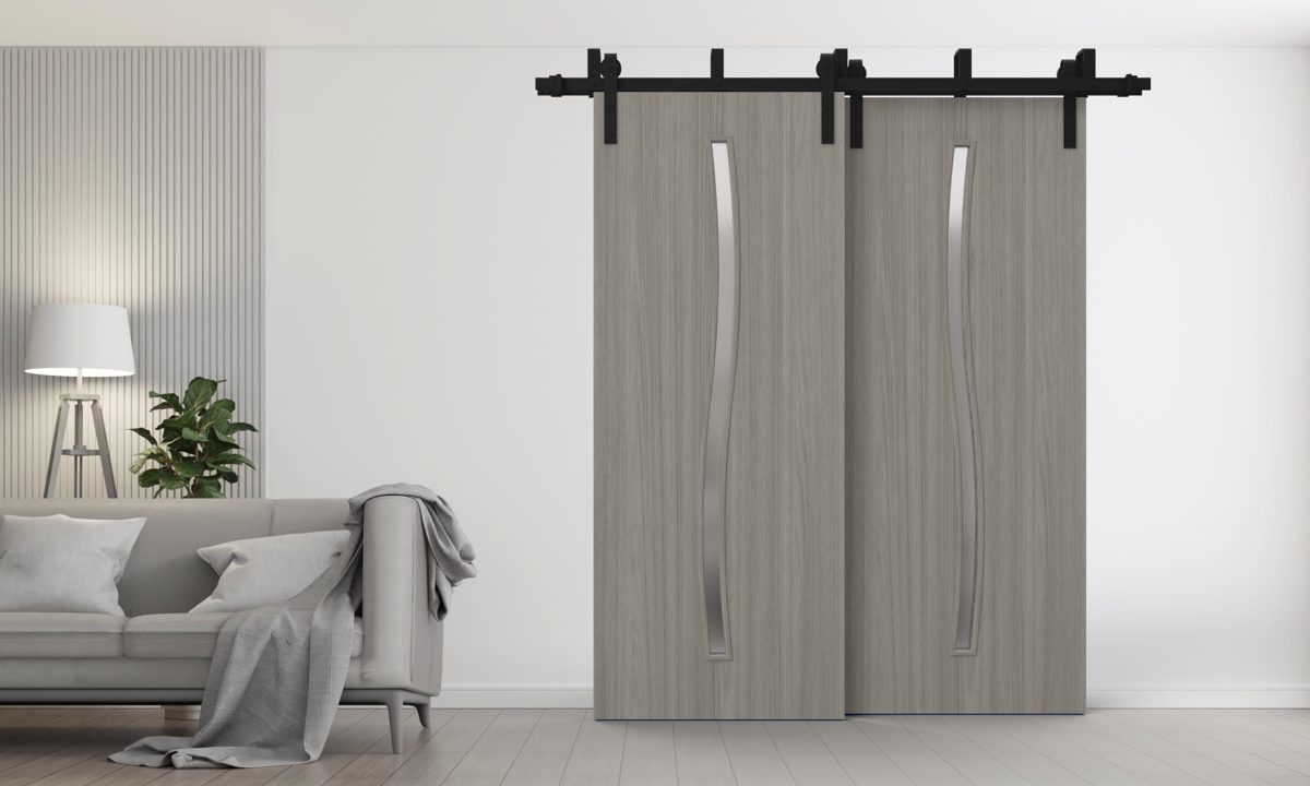 Essential 3002 Double Barn — Bypass door view 2