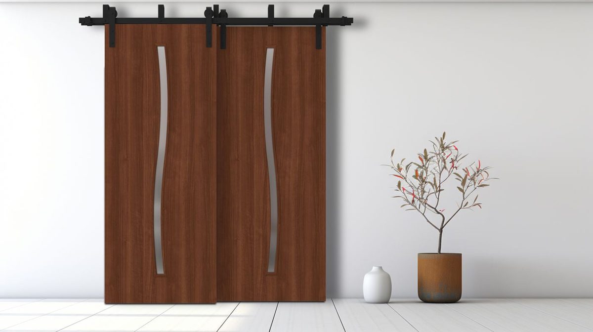 Essential 3002 Double Barn — Bypass door view 6