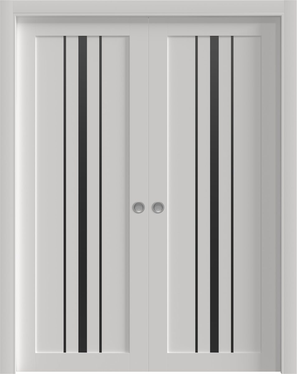 Essential 4903 Double Pocket door — Doors Near Me, Los Angeles