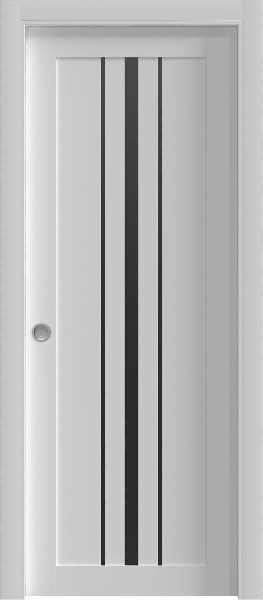Essential 4903 Pocket door — Doors Near Me, Los Angeles