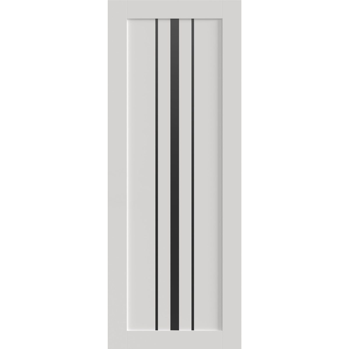Essential 4903 Interior Slab door view 4