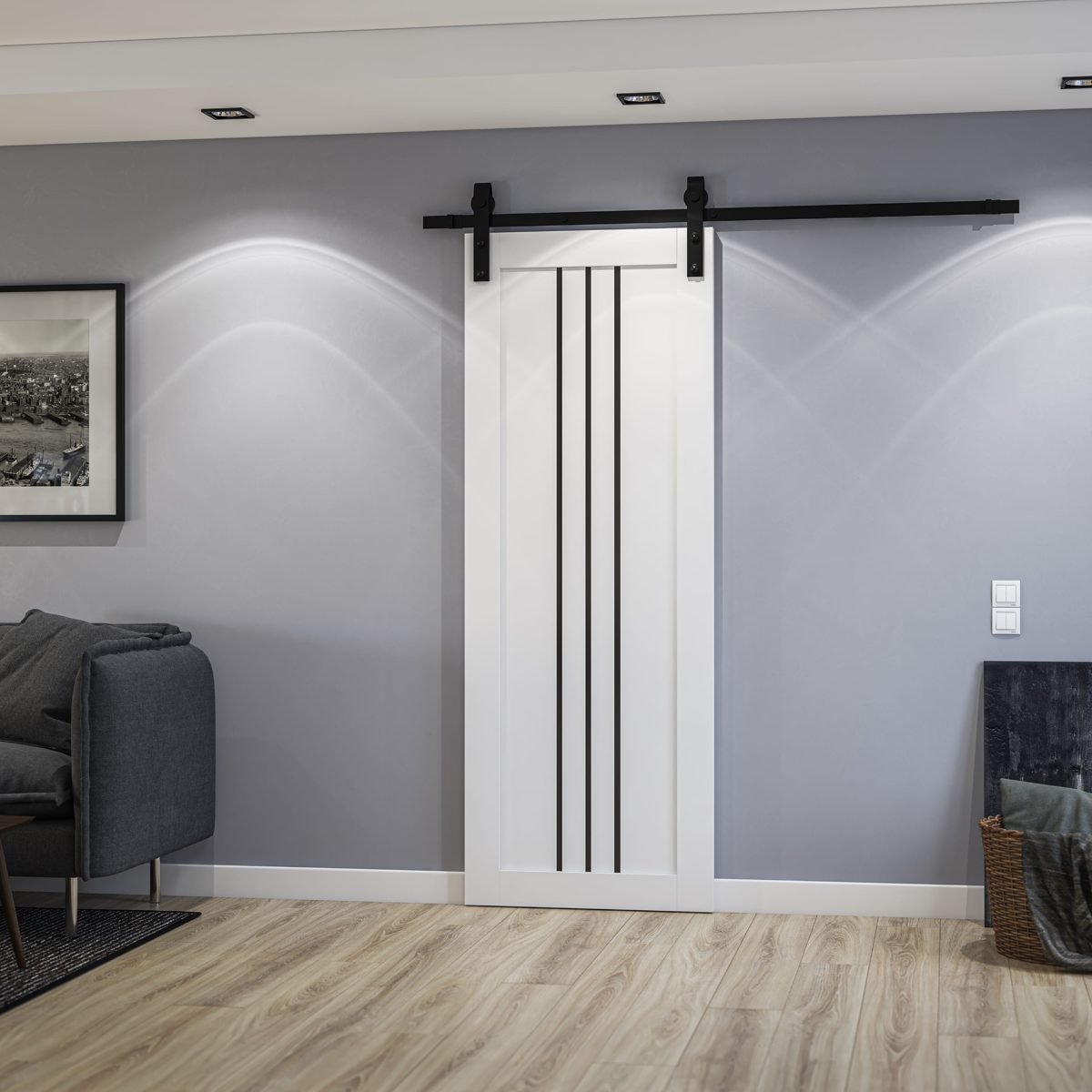 Essential 4906 Barn door view 2