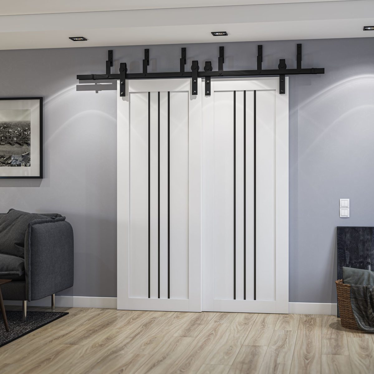 Essential 4906 Double Barn — Bypass door view 2