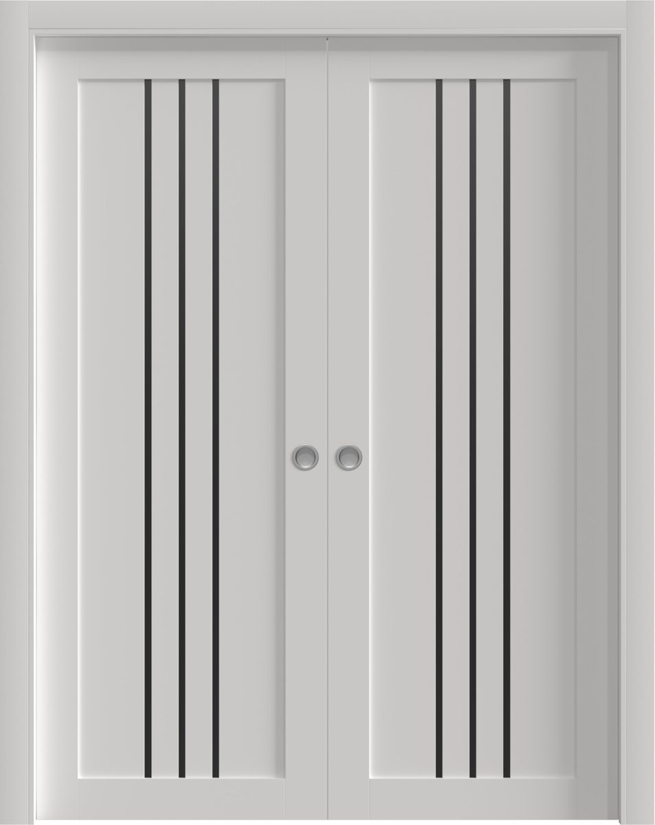 Essential 4906 Double Pocket door — Doors Near Me, Los Angeles