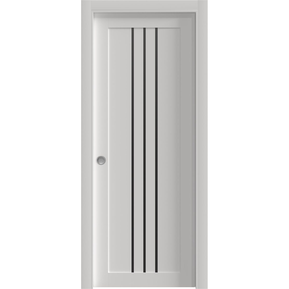 Essential 4906 Pocket door — Doors Near Me, Los Angeles