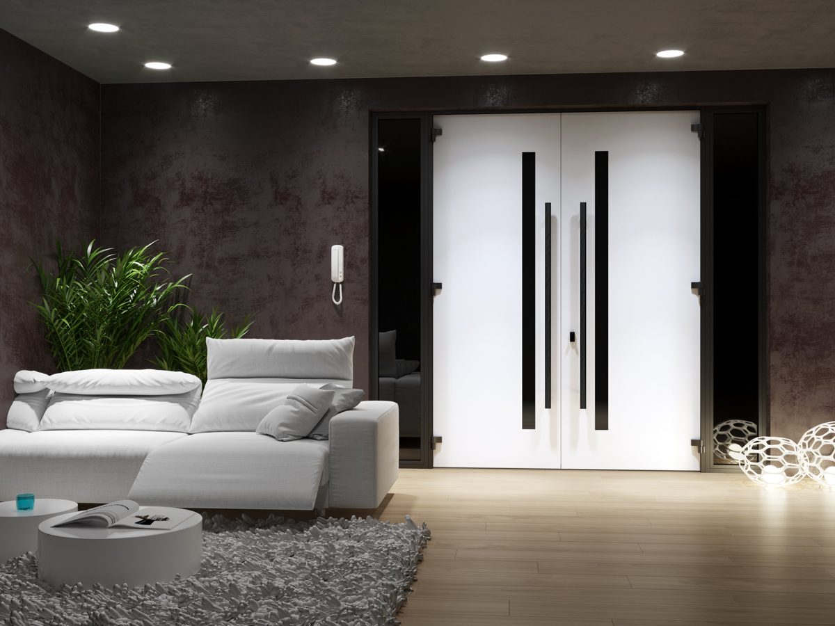 Slate 0163 Exterior Aluminum Double door view 4
