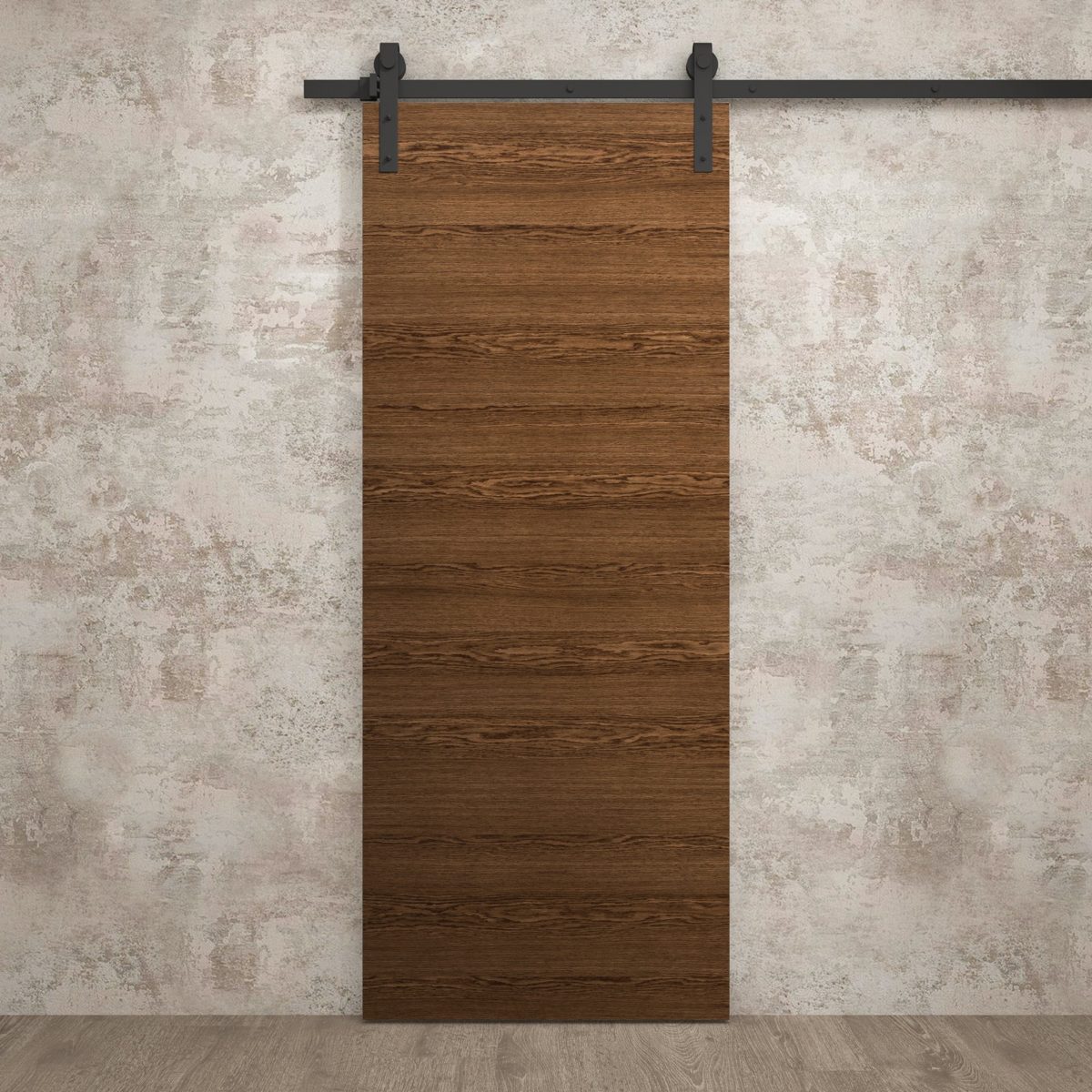 Aria 5000 Barn door view 2