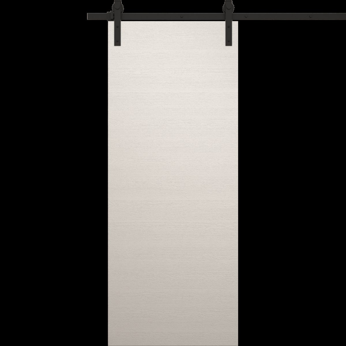 Aria 5000 Barn door view 5