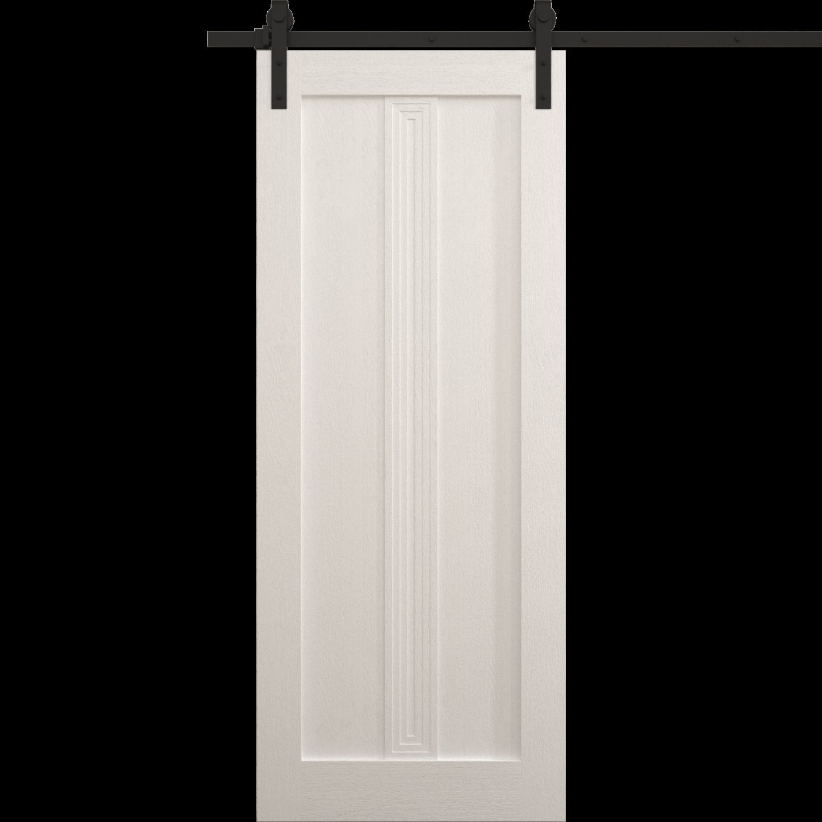 Aria 5006 Barn door view 5