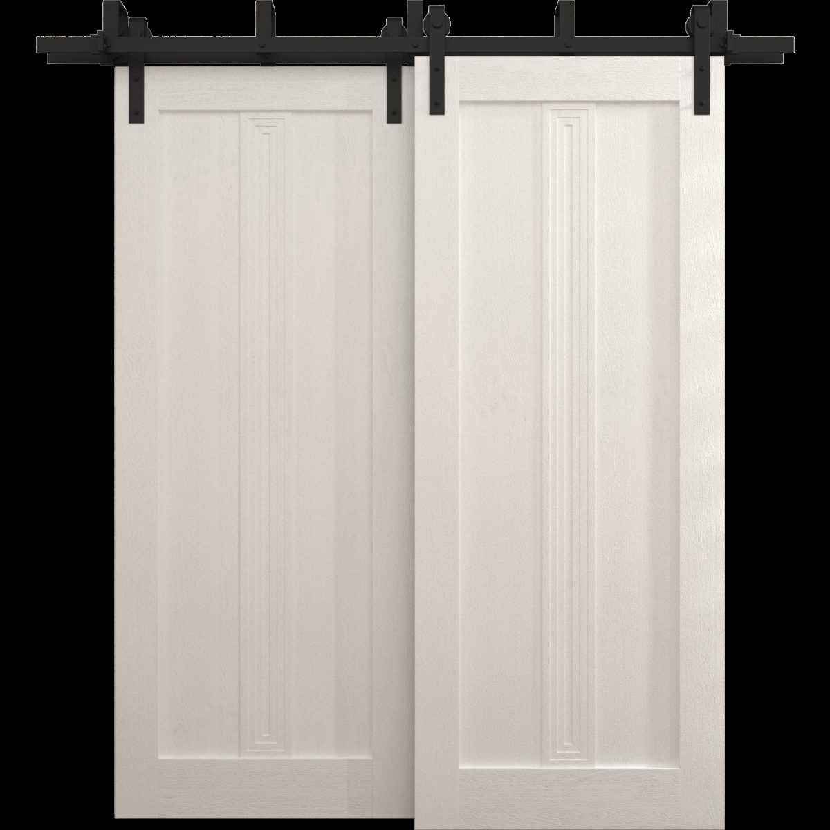 Aria 5006 Double Barn — Bypass door view 5