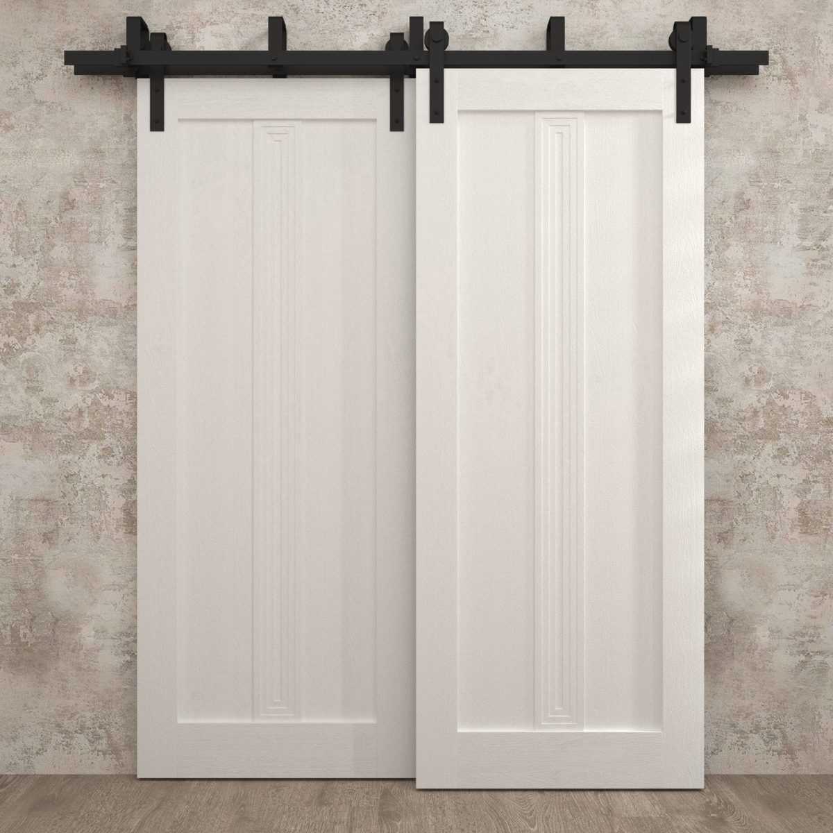 Aria 5006 Double Barn — Bypass door view 6