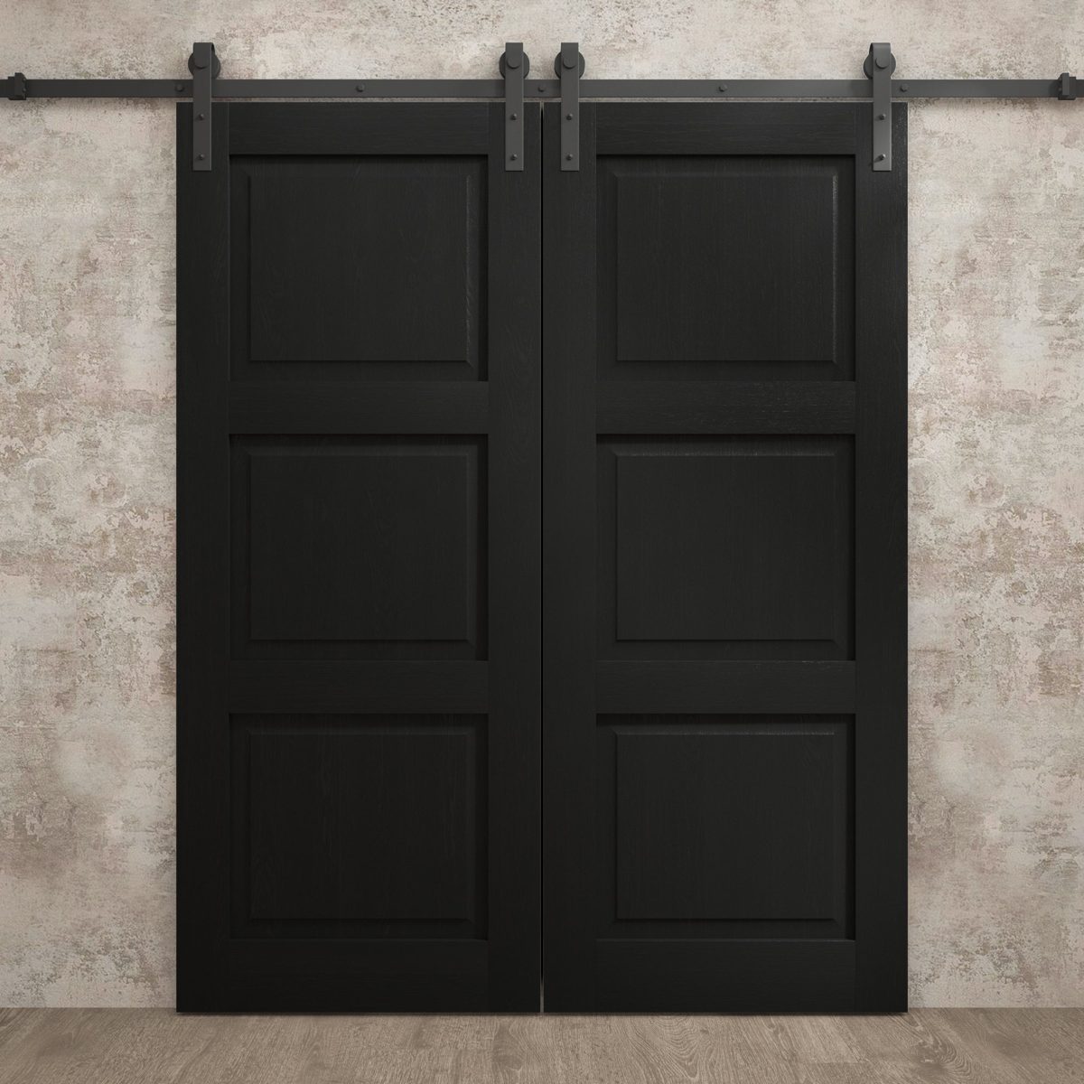 Aria 5010 Double Barn door view 2