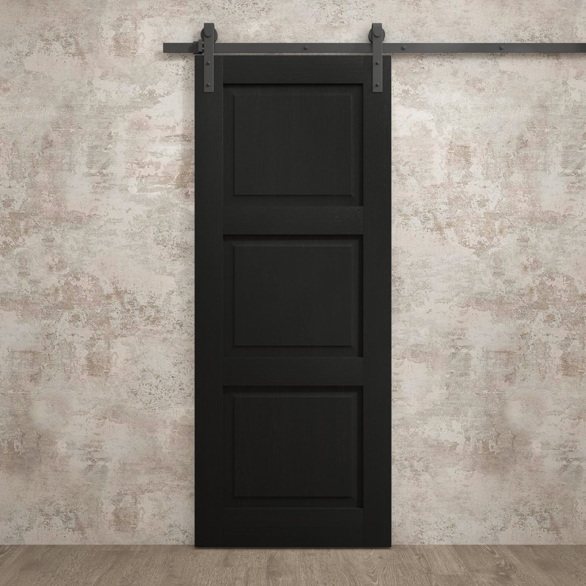 Aria 5010 Barn door view 2