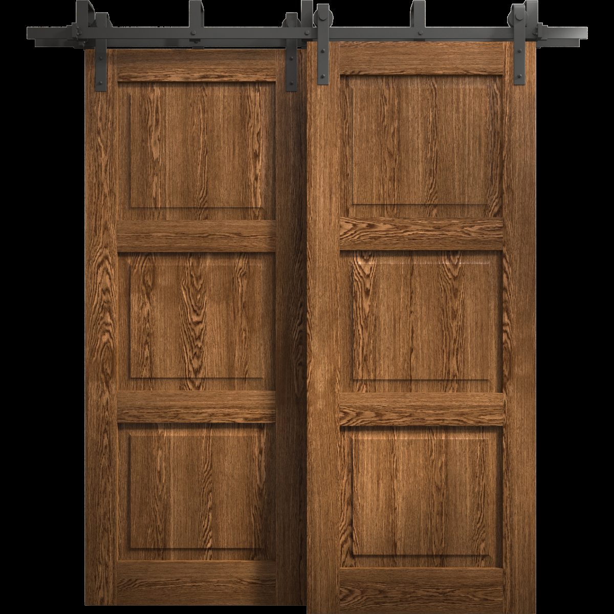 Aria 5010 Double Barn — Bypass door view 5