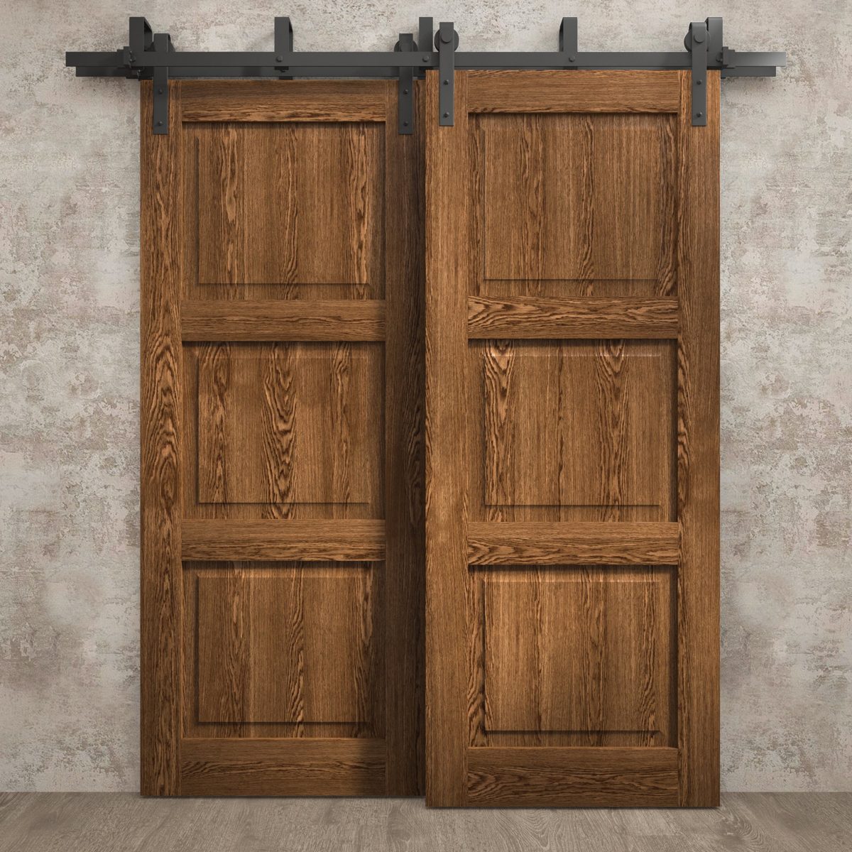 Aria 5010 Double Barn — Bypass door view 6
