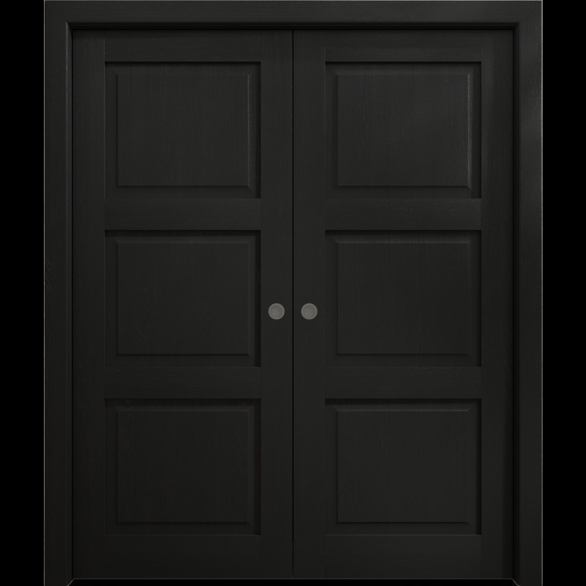 Aria 5010 Double Pocket door — Doors Near Me, Los Angeles