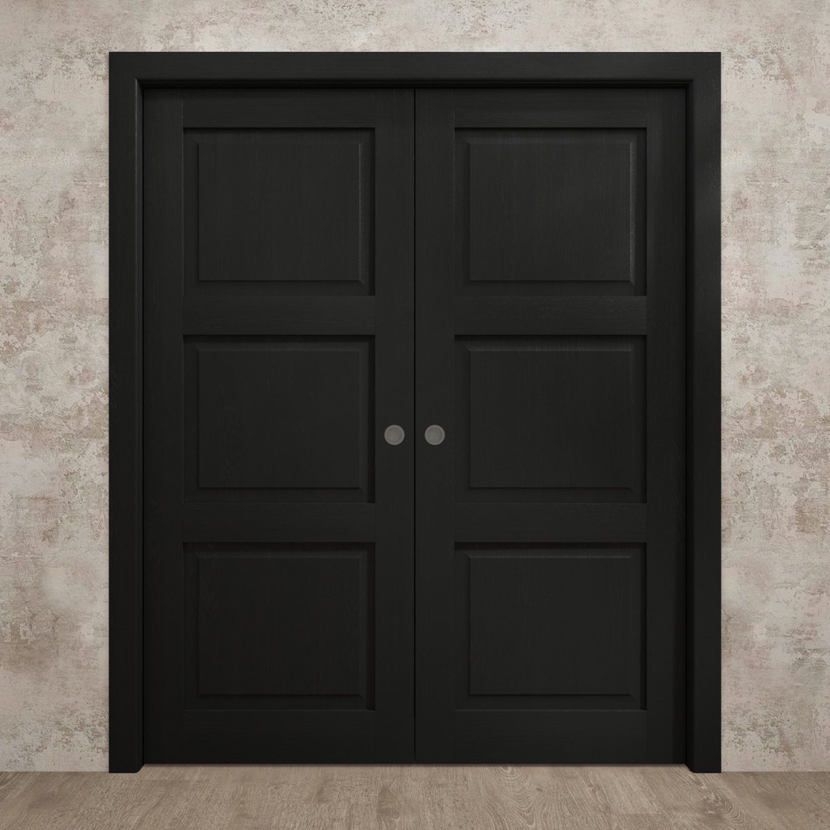Aria 5010 Double Pocket door view 2