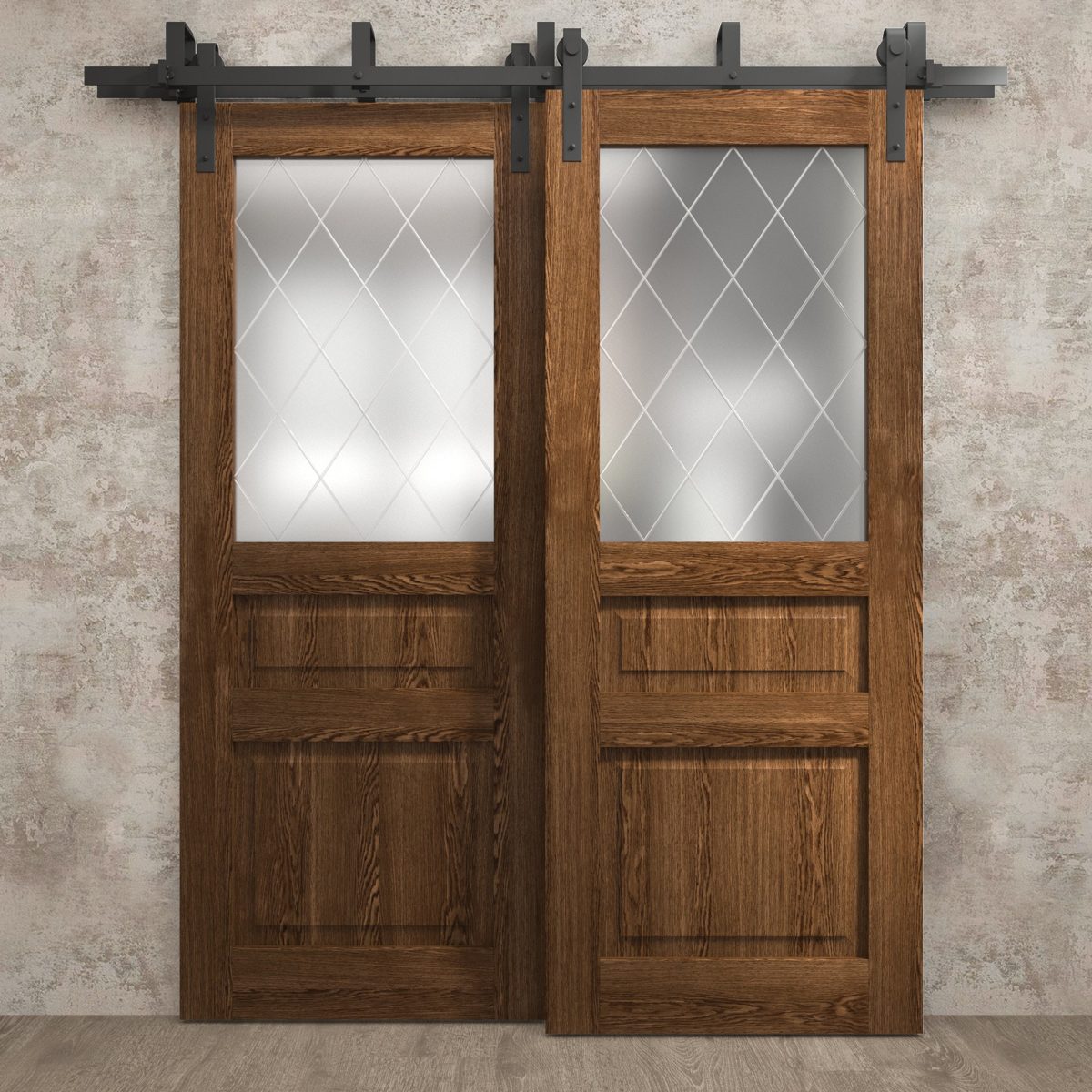 Aria 5011 Double Barn — Bypass door view 2