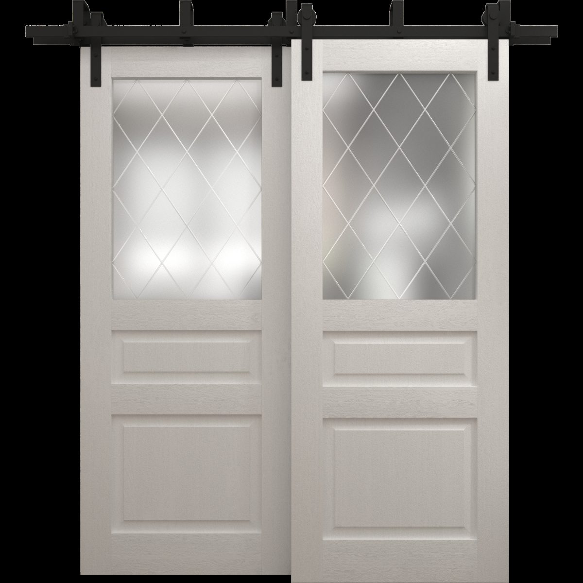 Aria 5011 Double Barn — Bypass door view 5