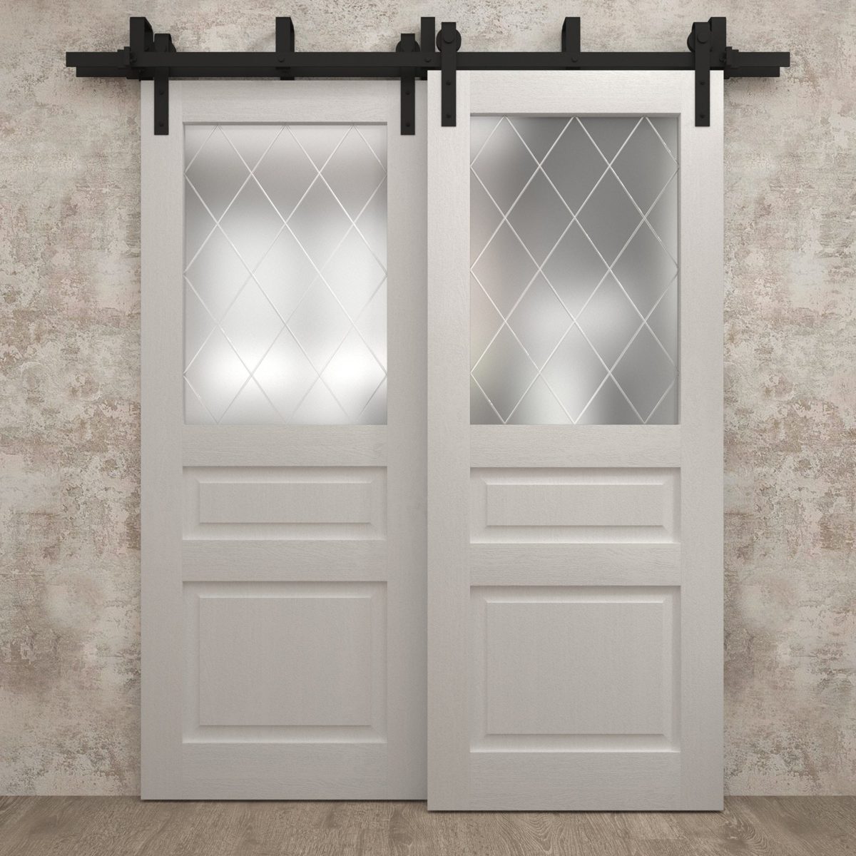 Aria 5011 Double Barn — Bypass door view 6