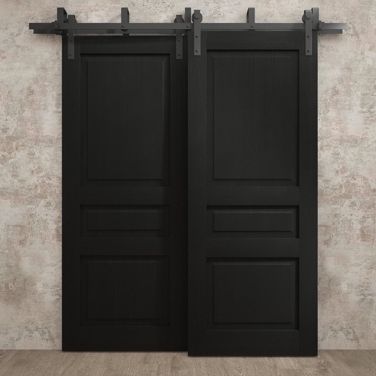 Aria 5012 Double Barn — Bypass door view 2