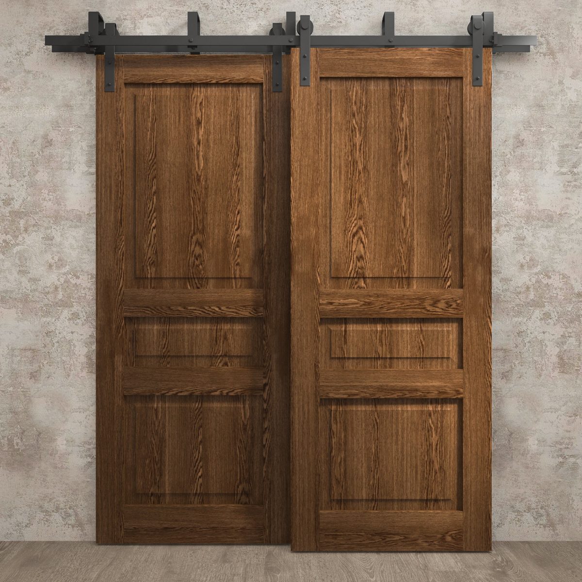 Aria 5012 Double Barn — Bypass door view 6