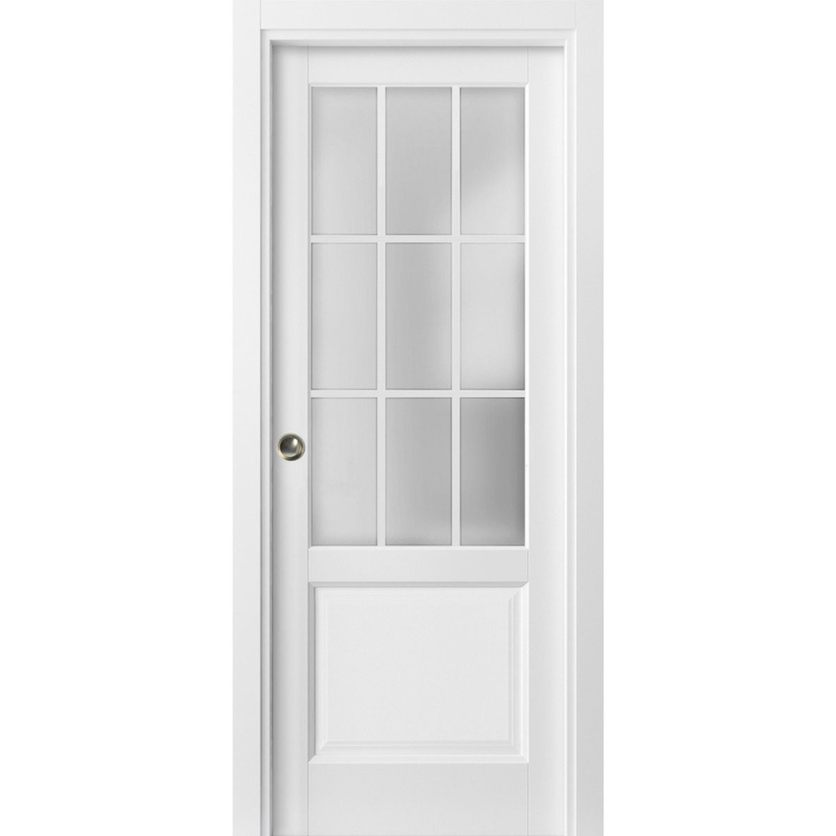Belmont 3309 Pocket door — Doors Near Me, Los Angeles