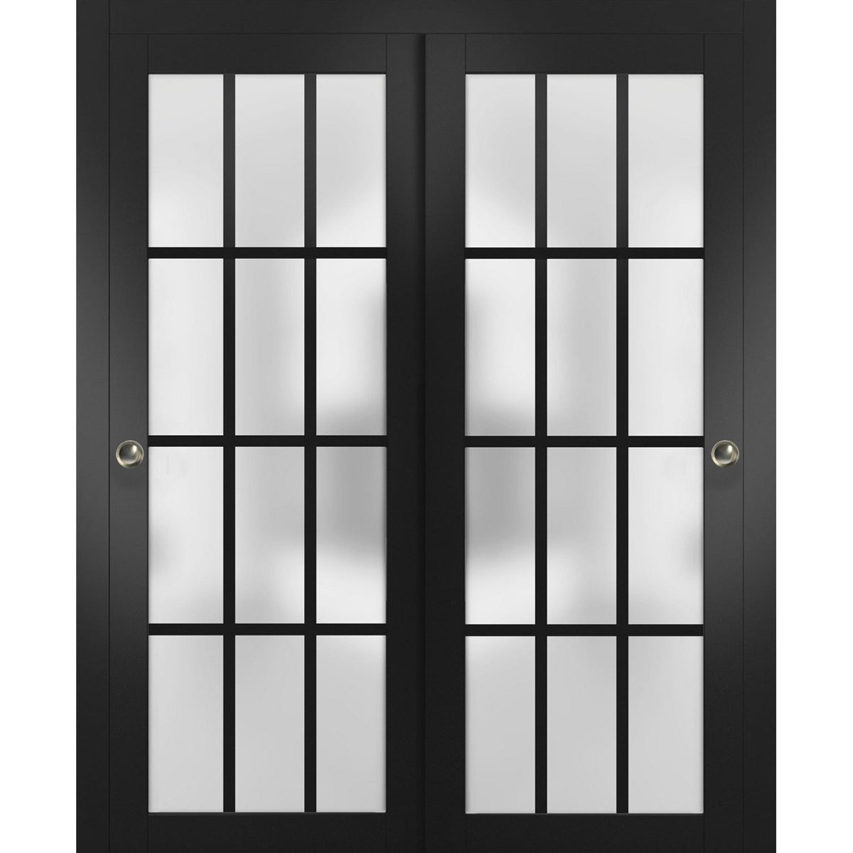 Belmont 3312 Bypass door — Doors Near Me, Los Angeles