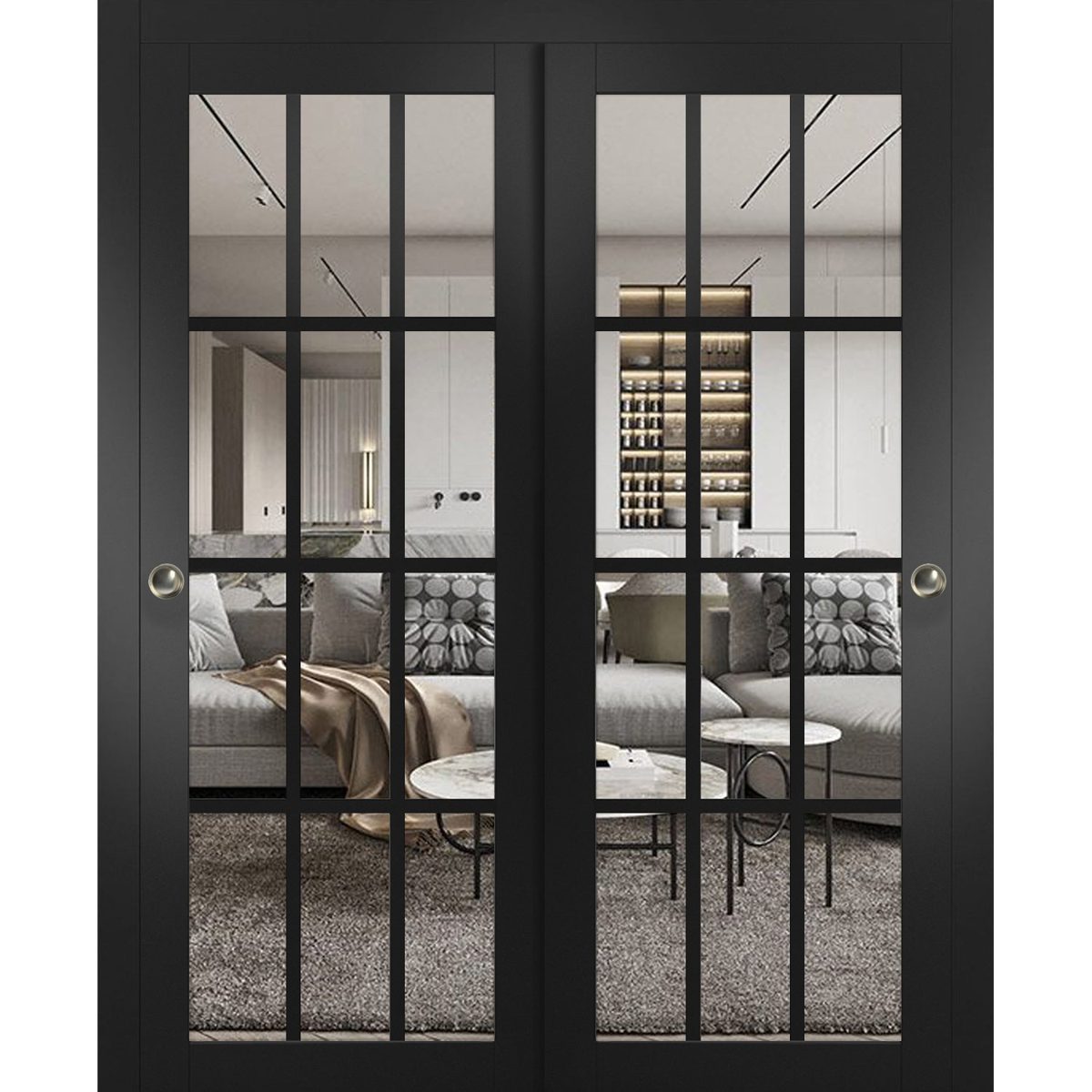 Belmont 3355 Bypass door — Doors Near Me, Los Angeles