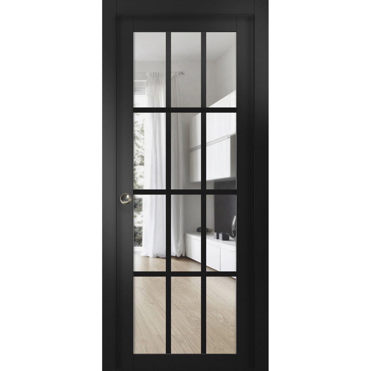 Belmont 3355 Pocket door — Doors Near Me, Los Angeles