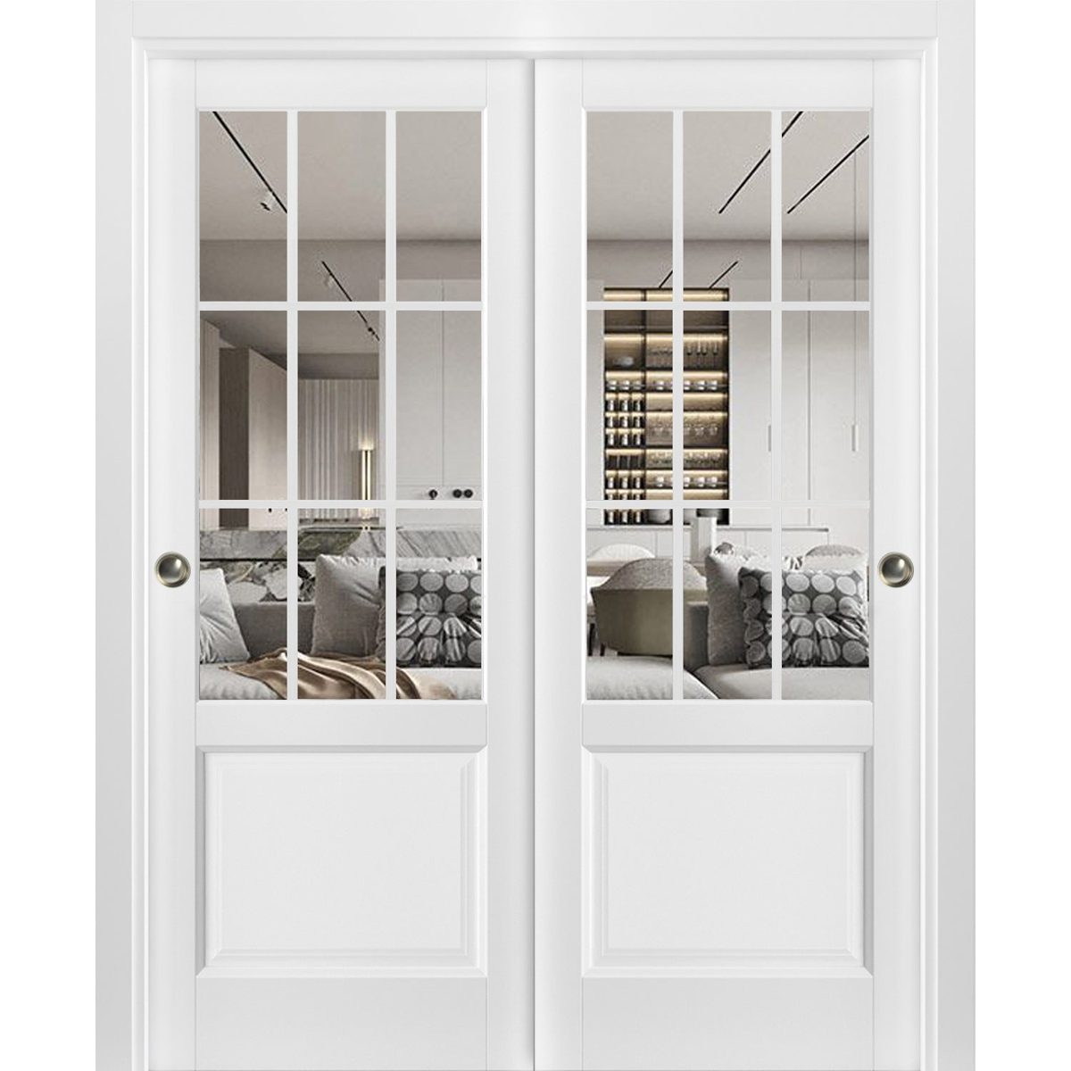 Belmont 3599 Bypass door — Doors Near Me, Los Angeles