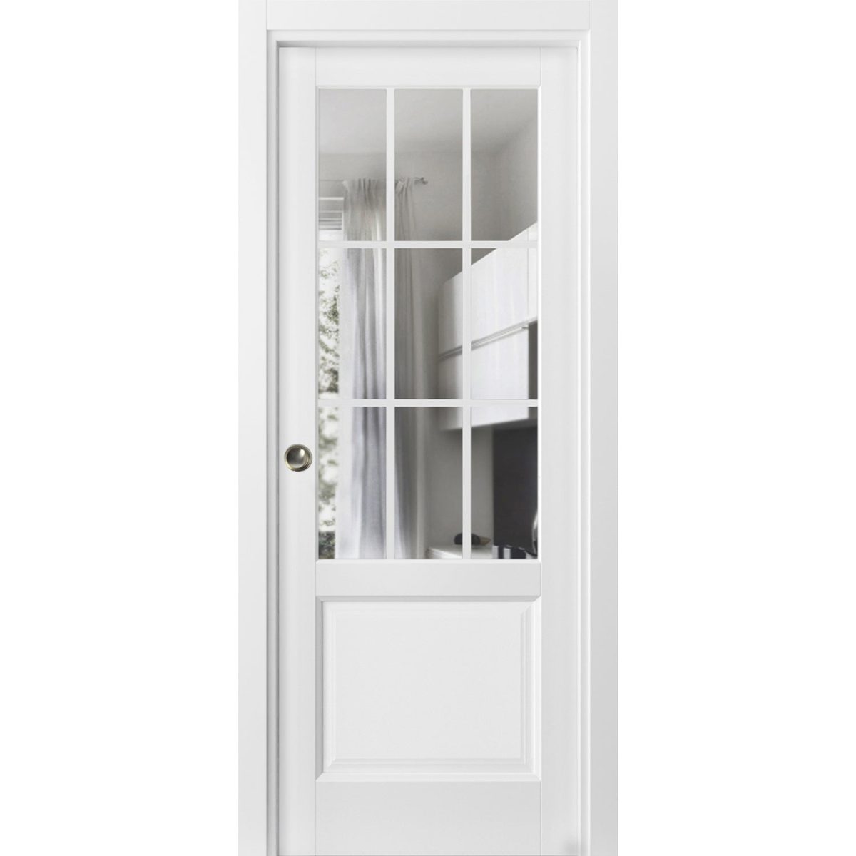 Belmont 3599 Pocket door — Doors Near Me, Los Angeles