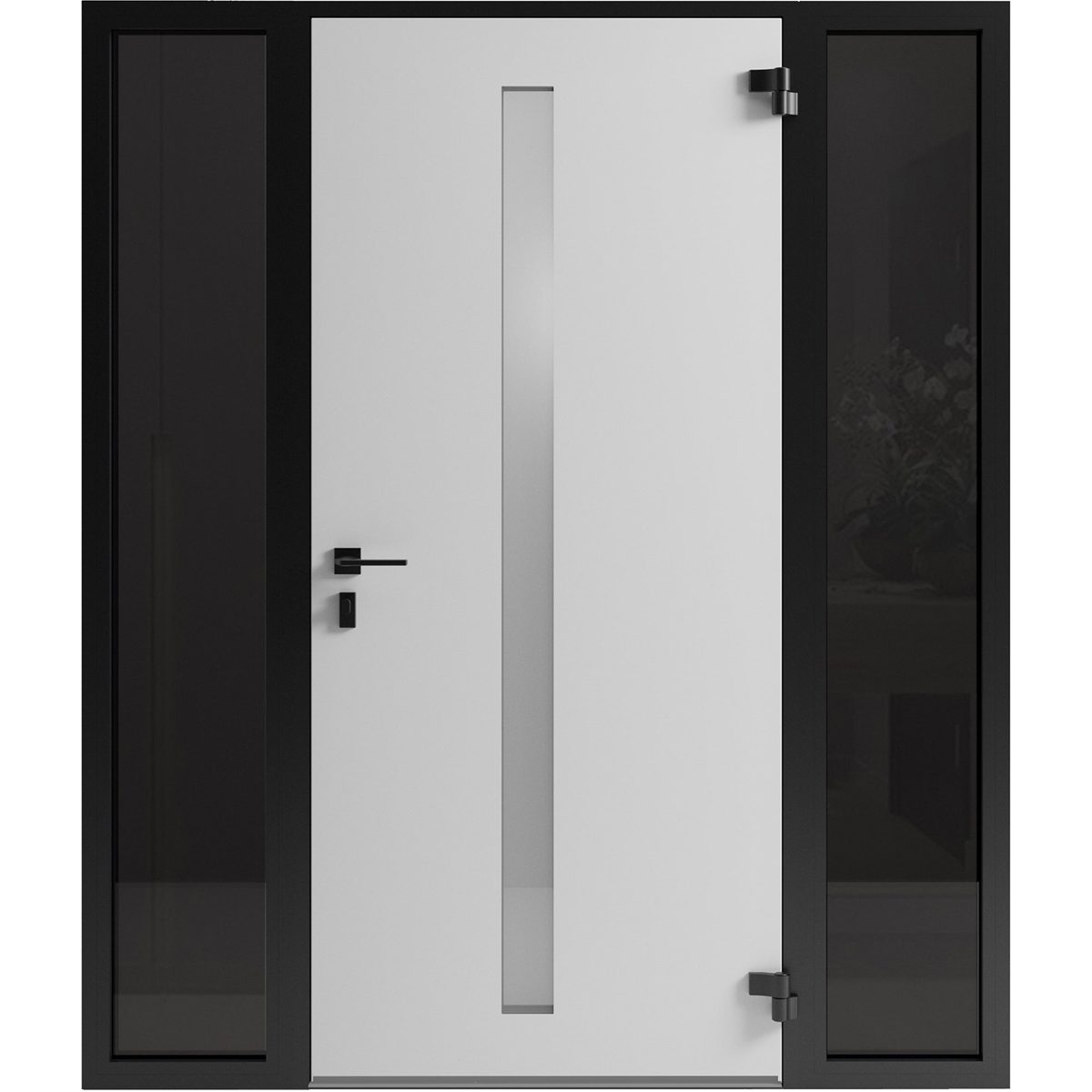 Eclipse 0155 Exterior Aluminum door view 2