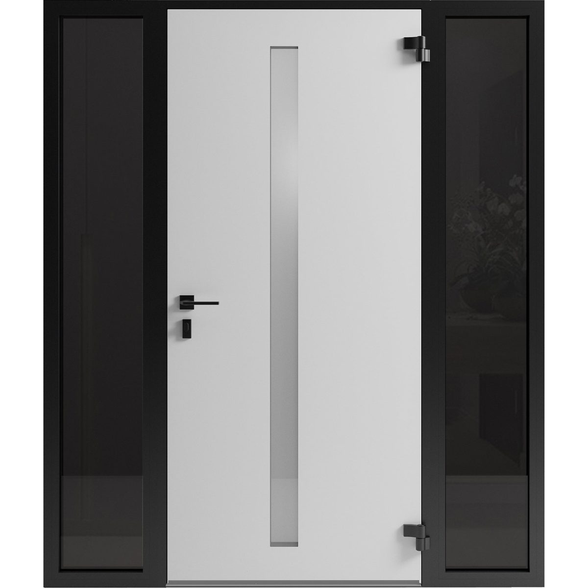 Eclipse 0155 Exterior Aluminum door view 6