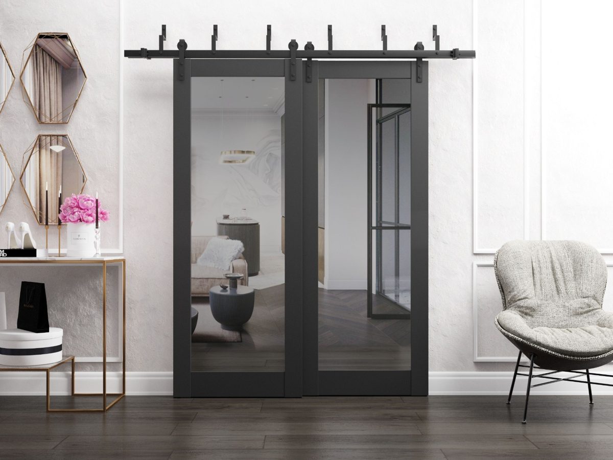 Solara 1299 Double Barn — Bypass door view 2