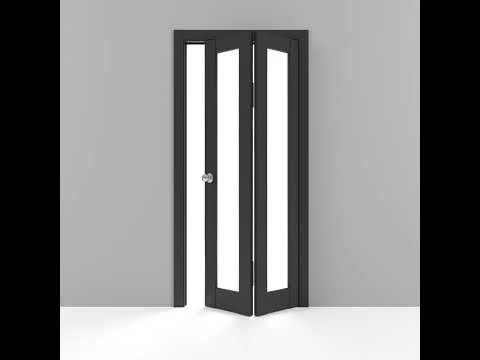 Solara 2166 Bi-Fold door view 6