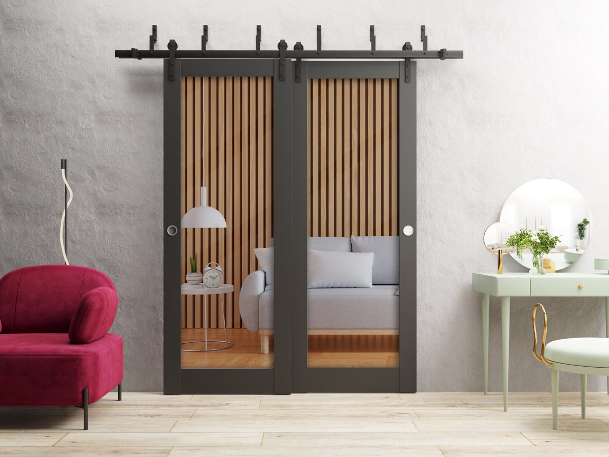 Solara 2166 Double Barn — Bypass door view 2