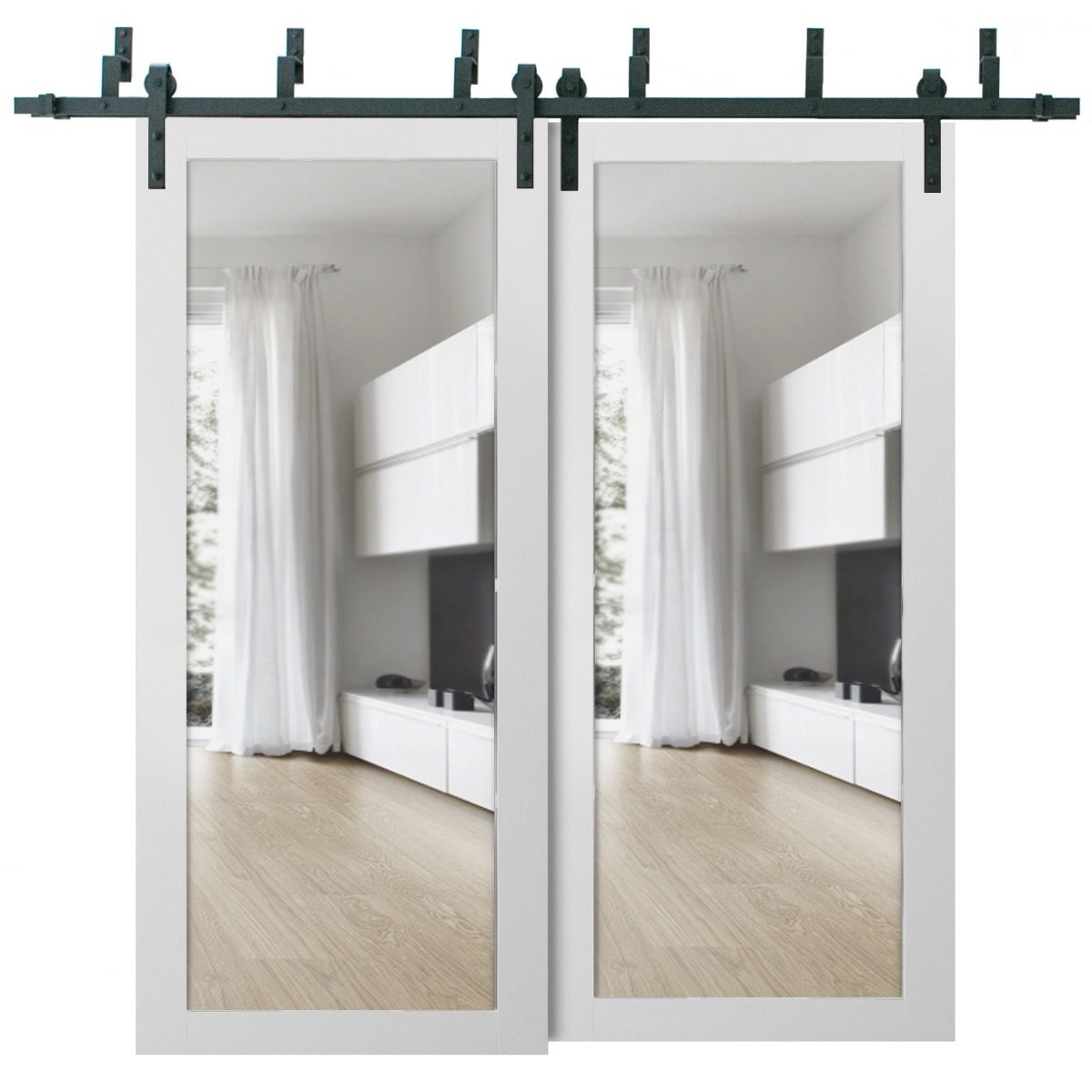 Solara 2166 Double Barn — Bypass door view 5