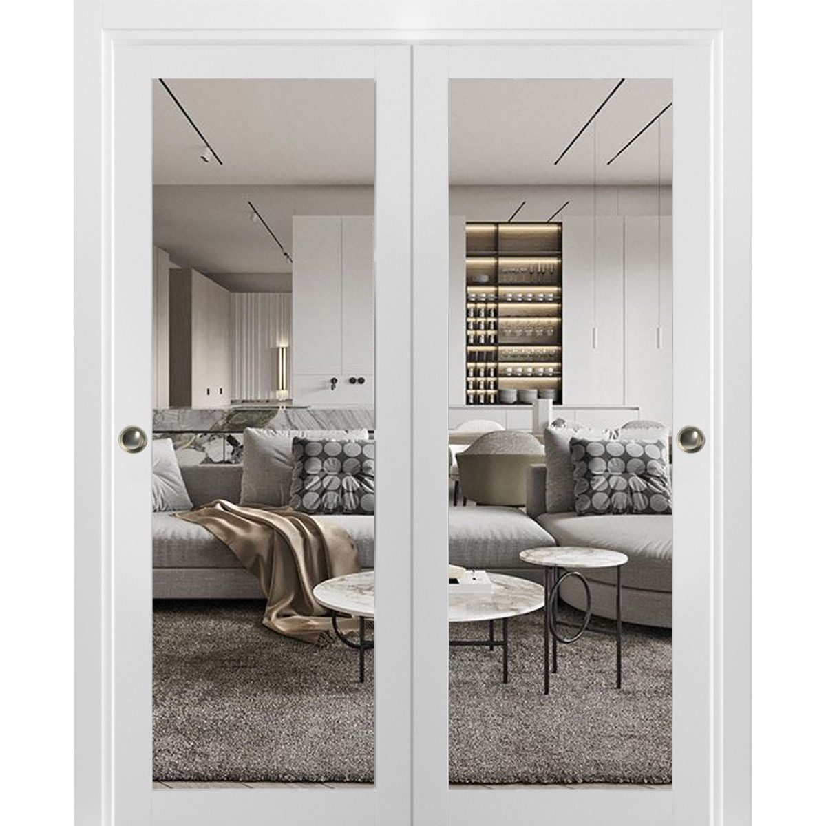 Solara 2166 Bypass door view 5