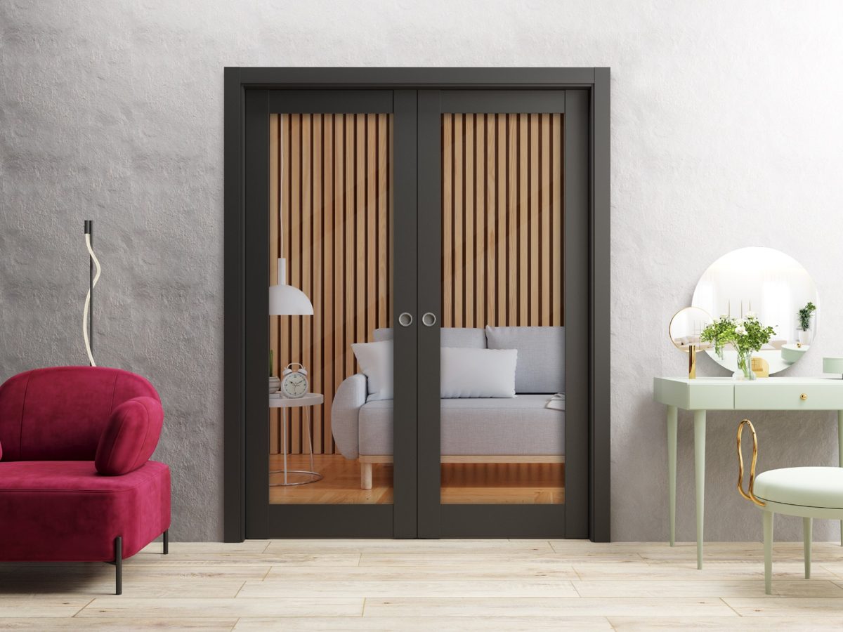 Solara 2166 Double Pocket door view 2
