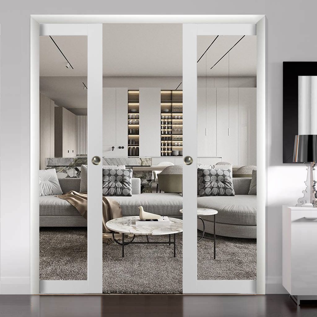 Solara 2166 Double Pocket door view 5