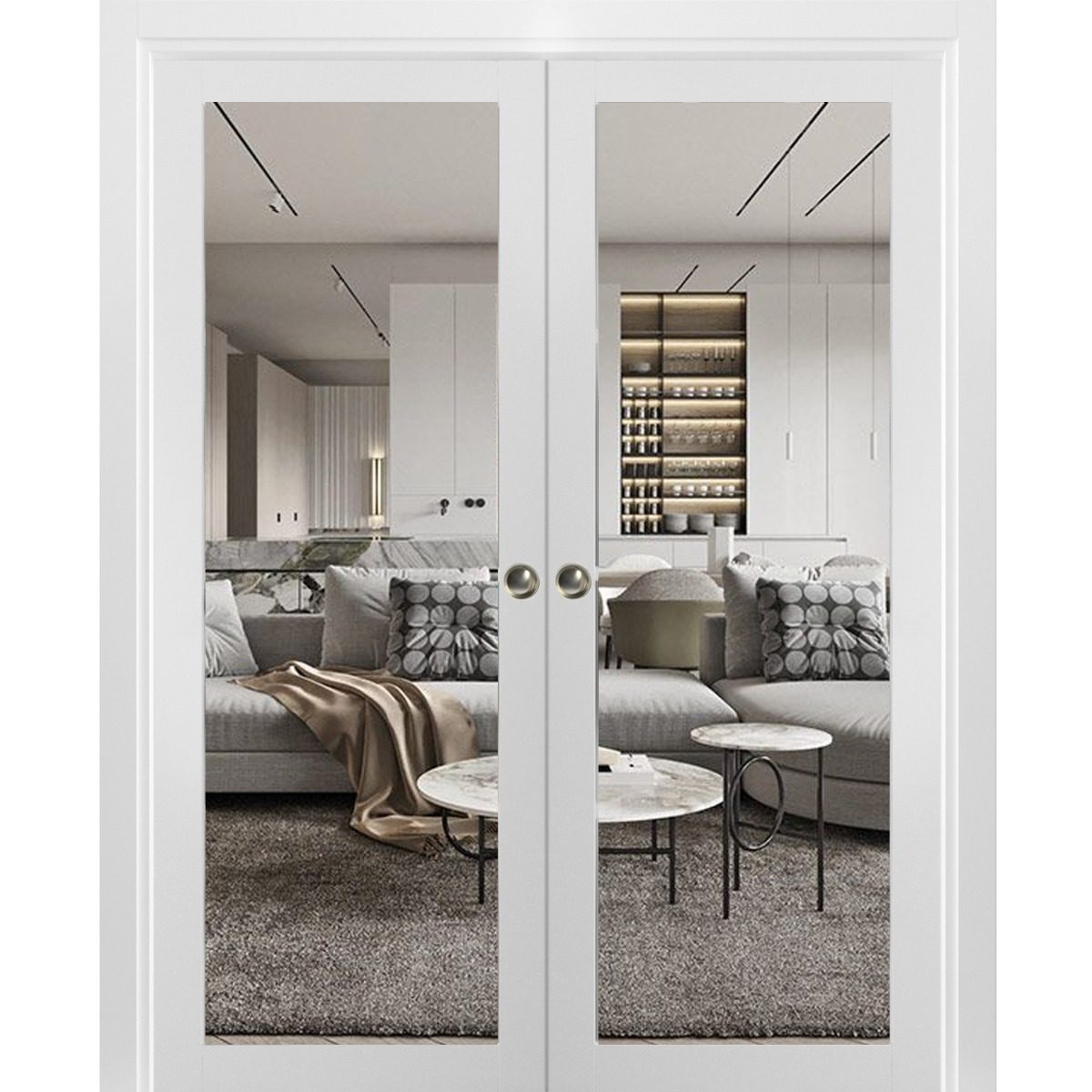 Solara 2166 Double Pocket door view 6