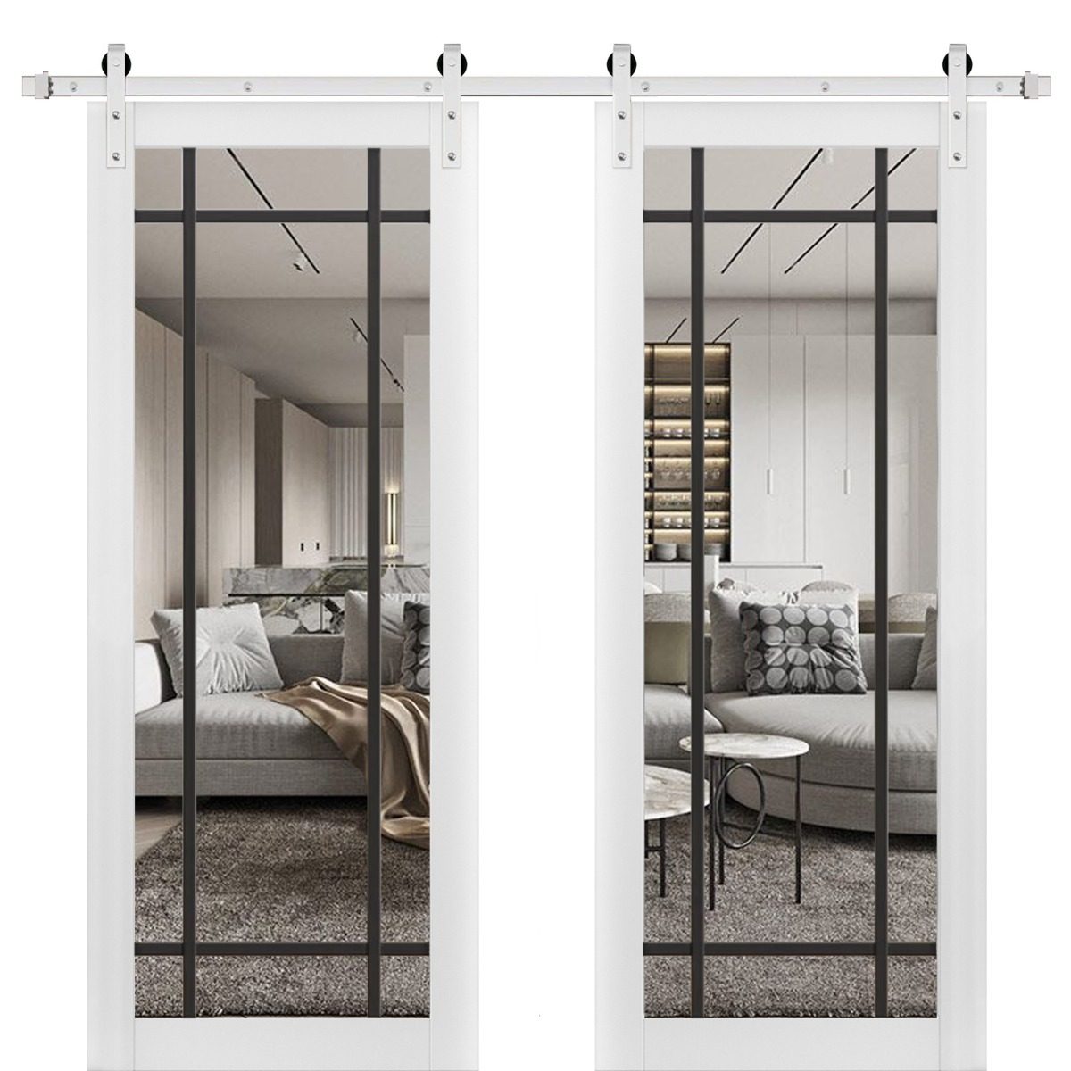 Solara 2266 Double Barn door view 5