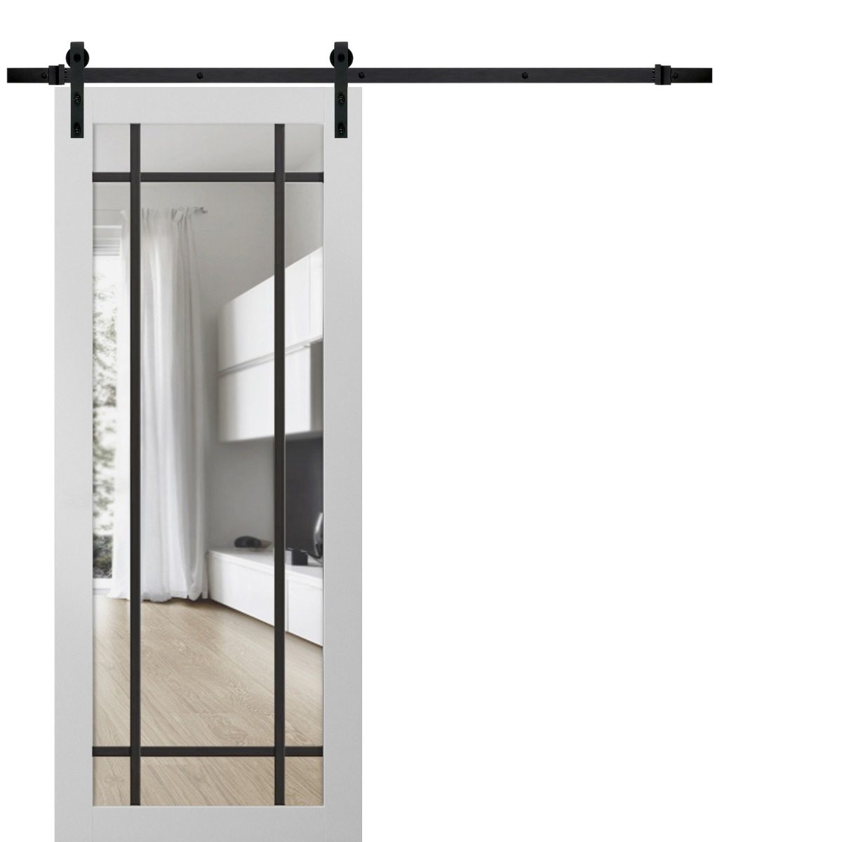 Solara 2266 Barn door view 5