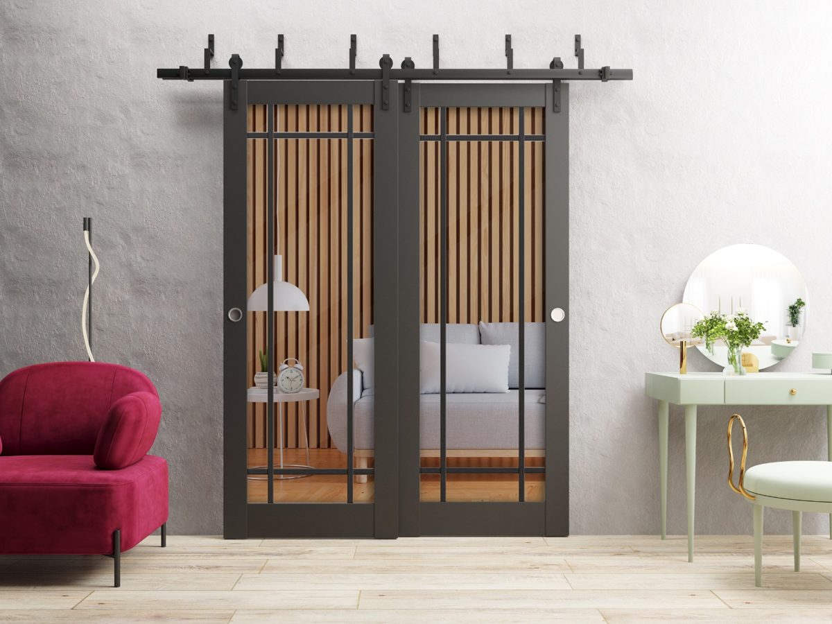 Solara 2266 Double Barn — Bypass door view 2
